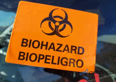 2025 Ford F-150 Xlt from USA, damaged, VIN 1FTEW3LP6SKE62956